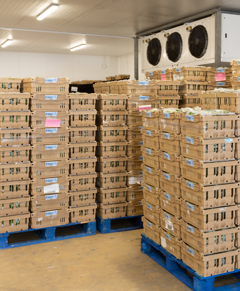 PML-warehouse-services-Store-frozen-Blast-chill-and-vacuum-cool-space-and-technology-1