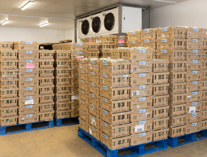 PML-warehouse-services-defra-inspection-Store-frozen-Blast-chill-Vacuum-cool