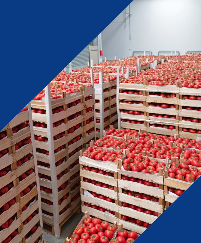 PML-warehouse-services-defra-inspection-supply-chain-faster