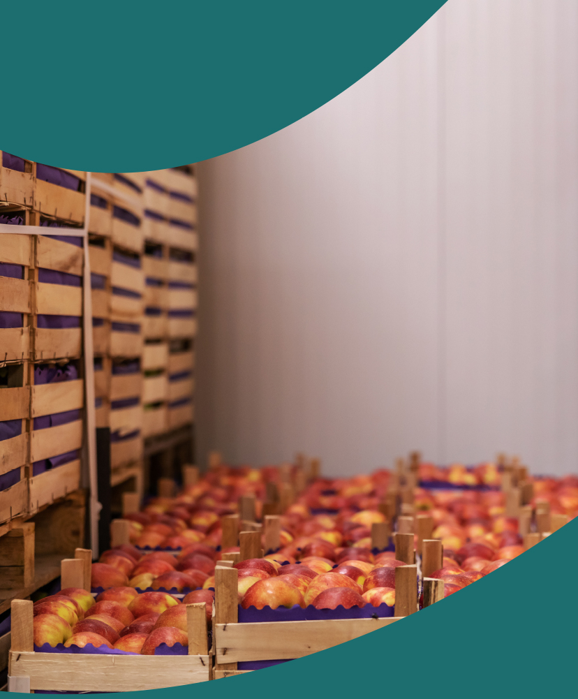PML-warehouse-services-defra-inspection-works