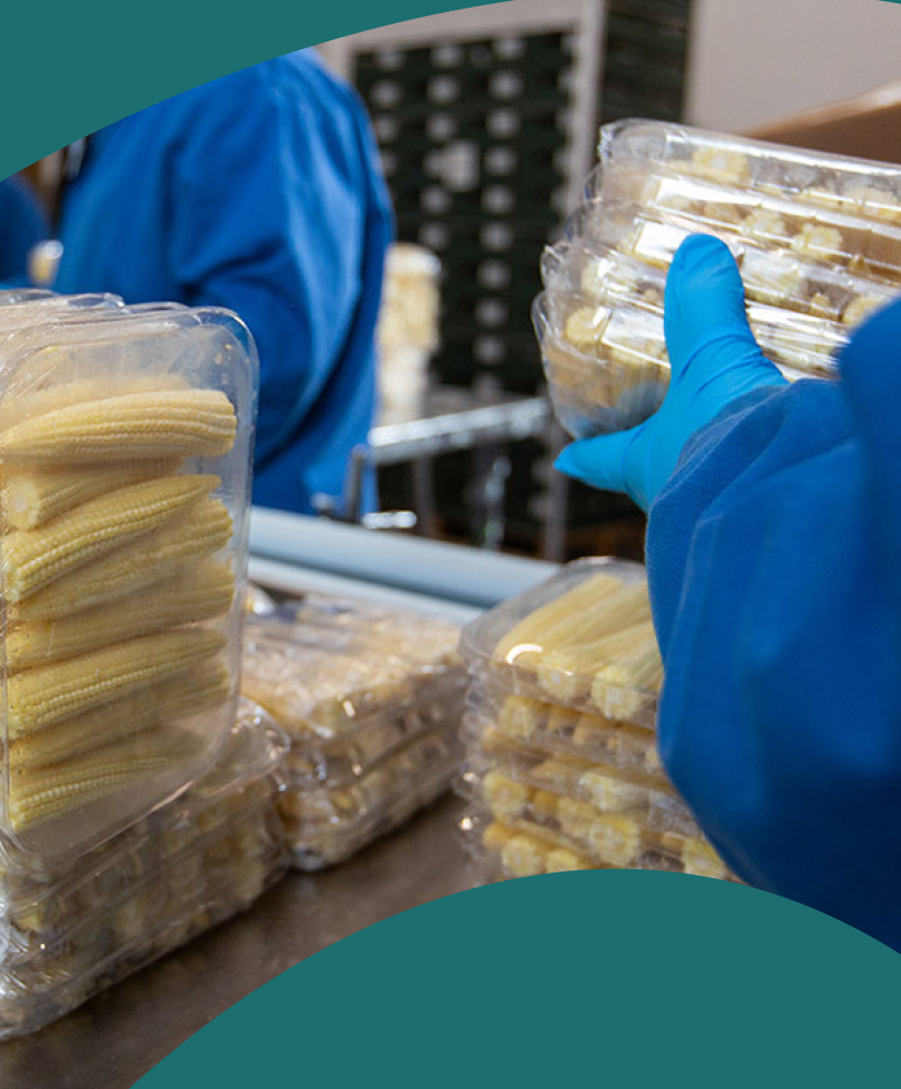 PML-warehouse-services-packing-wide-range-of-packing-services