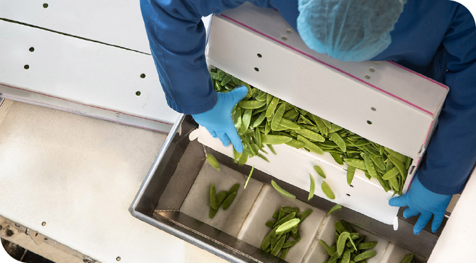 PML-warehouse-services-quality-sorting