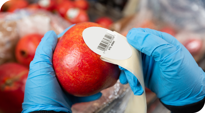 PML-warehouse-services-re-labeling
