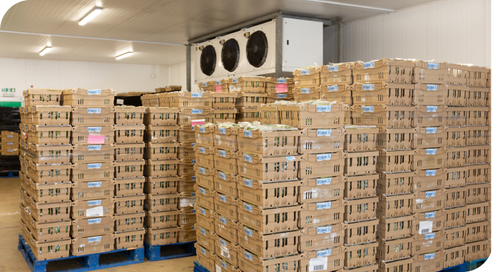 PML-warehouse-services-store-frozen-blast-chill-vacuum-cool