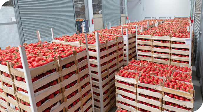 PML-location-London-Frozen-chilled-dry-storage