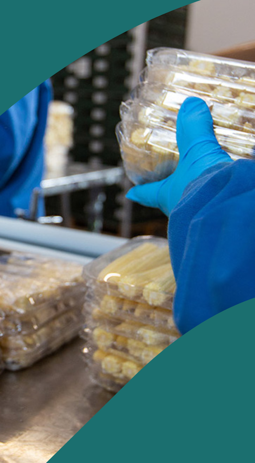 PML-packing-sweetcorn-1