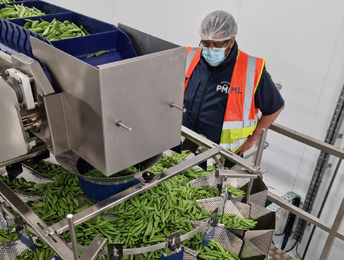 PML-warehouse-packing
